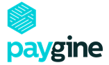 paygine image